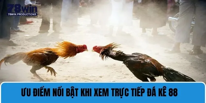 Ưu điểm nổi bật khi xem trực tiếp đá gà 88